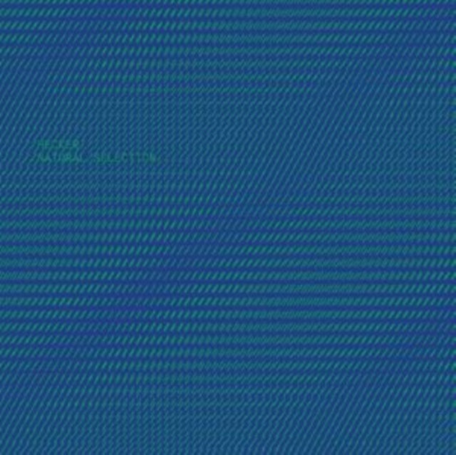 Florian Hecker - Natural Selection (CD)