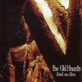 Old Haunts - Fuel On Fire (Vinyl) (US Import)