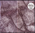 Boss Hog - Brood X (Vinyl) (US Import)