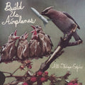 Build Us Airplanes - All Things Expire (Vinyl) (US Import)