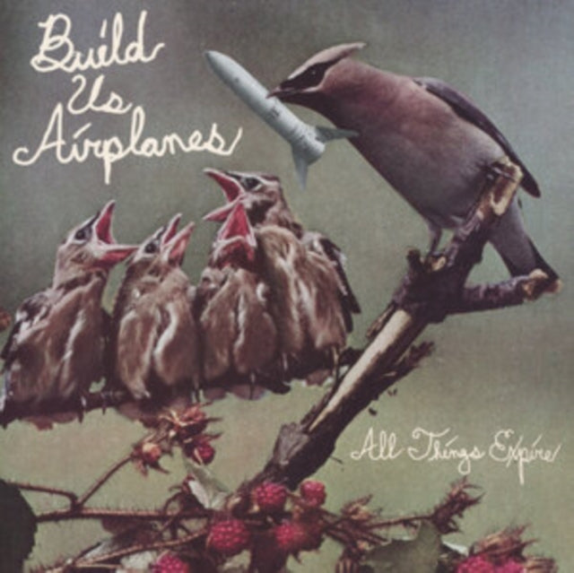 Build Us Airplanes - All Things Expire (Vinyl) (US Import)