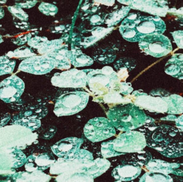 Sadness - Rain Chamber (Vinyl) (US Import)