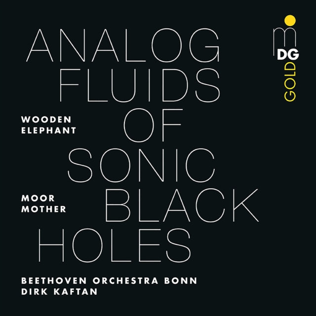 Moor Mother - Analog Fluids Of Sonic Black Holes (Vinyl) (US Import)