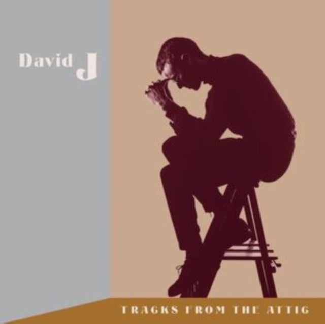 David J - Tracks From The Attic (3LP/3CD/Brown Opaque Vinyl) (Vinyl) (US Import)