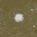 Bill Seaman & Stephen Vitiello - Clear Distance (CD)