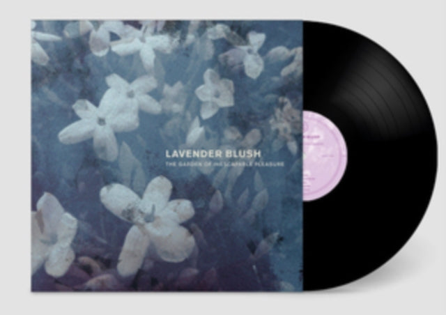 Lavender Blush - Garden Of Inescapable Pleasure (Vinyl) (US Import)