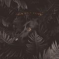 Old Salt Union - Where The Dogs Don't Bite (Vinyl) (US Import)