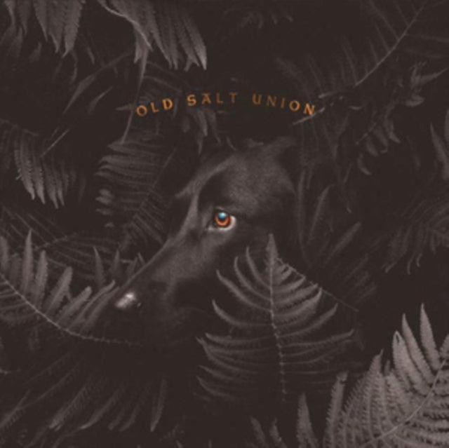 Old Salt Union - Where The Dogs Don't Bite (Vinyl) (US Import)