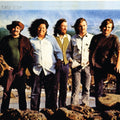 Turtles - Turtle Soup (Vinyl) (US Import)