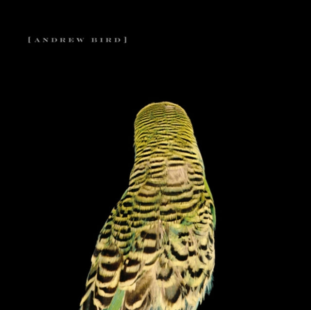 Andrew Bird - Armchair Apocrypha (CD)