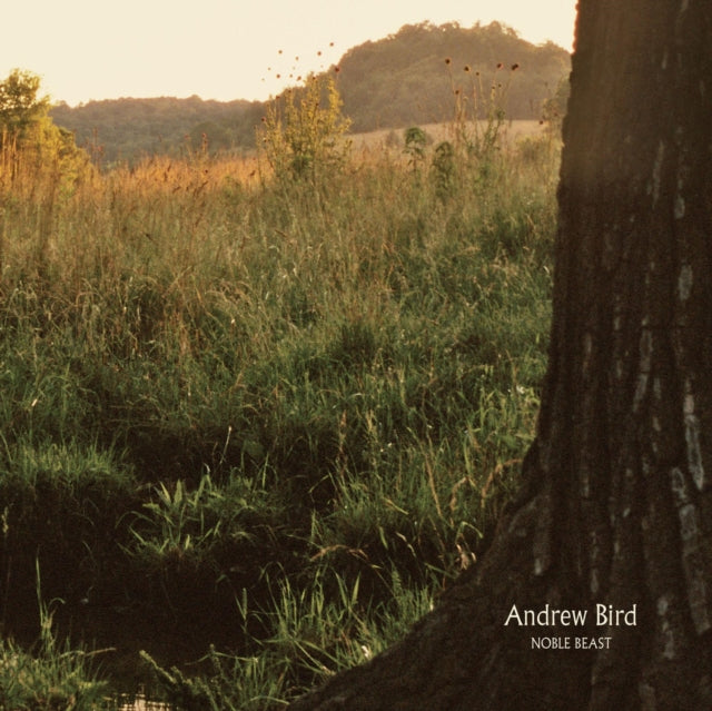 Andrew Bird - Noble Beast (Vinyl) (US Import)