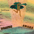 Beaten Awake - Thunderstroke (Vinyl) (US Import)