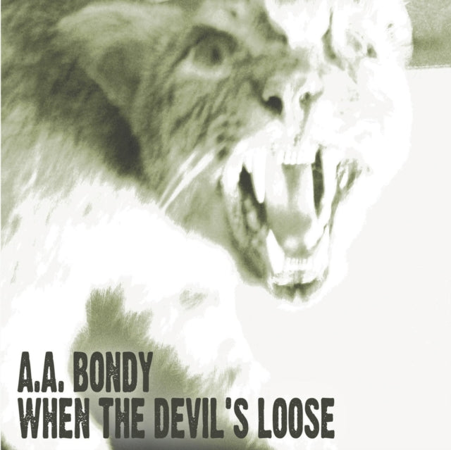 A.A. Bondy - When The Devil's Loose (Vinyl) (US Import)