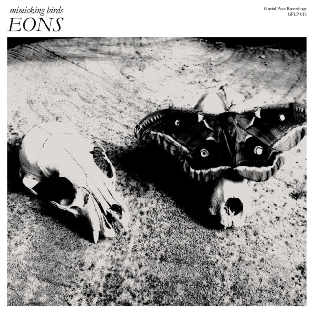 Mimicking Birds - Eons (Vinyl) (US Import)