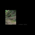 Oval Language - Waldkonzerte (Vinyl) (US Import)