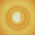Gaute Granli - Monstersol (Vinyl) (US Import)