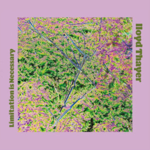 Lloyd Thayer - Limitation Is Necessary (CD)