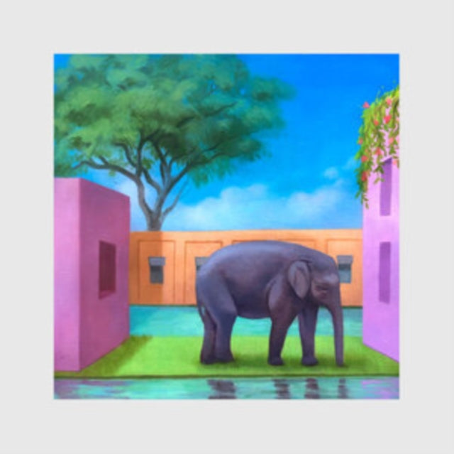 Korea Town Acid - Elephant In The Room (Vinyl) (US Import)