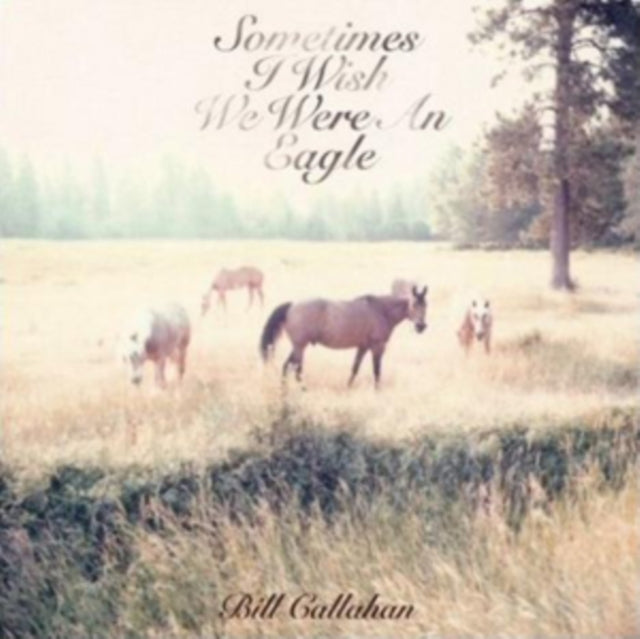 Bill Callahan - Sometimes I Wish We Were An Eagle (Vinyl) (US Import)