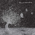 Bachelorette - End Of Things (Vinyl) (US Import)