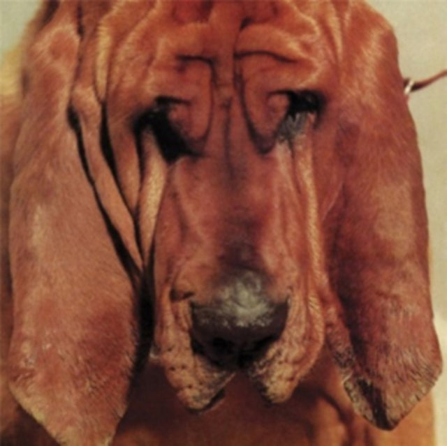 Ty Segall - Goodbye Bread (Vinyl) (US Import)