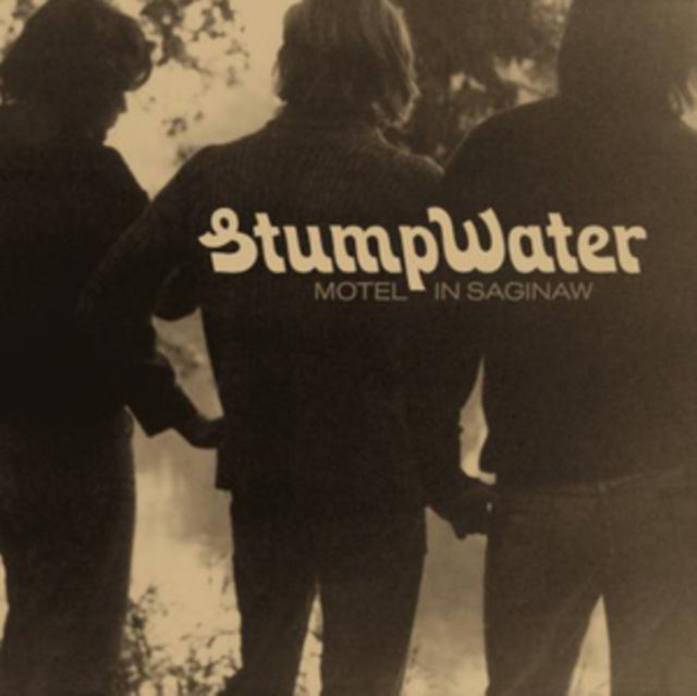 Stumpwater - Motel In Saginaw (Vinyl) (US Import)