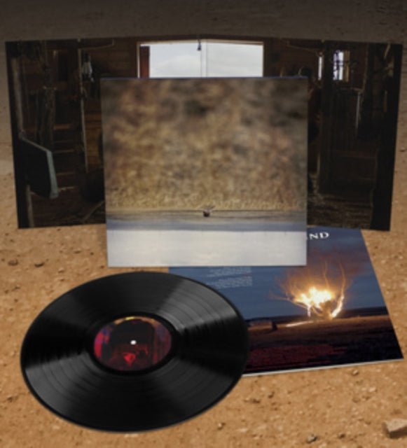 Jim O'Rourke - Hands That Bind OST (Vinyl) (US Import)