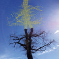 Laetitia Sadier - Rooting For Love (Vinyl) (US Import)