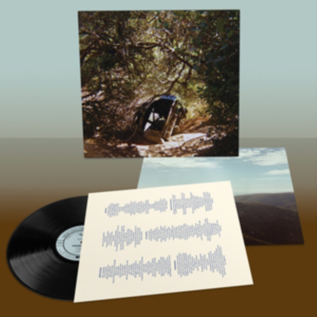 Ty Segall - Possession (Vinyl) (US Import)