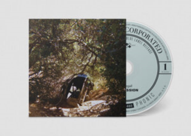 Ty Segall - Possession (CD)