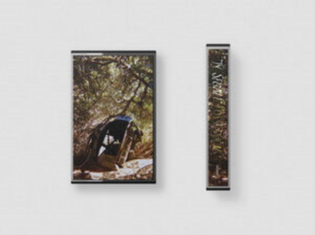 Ty Segall - Possession (Cassette)