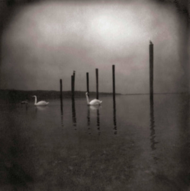Om - Conference Of The Birds (Vinyl) (US Import)
