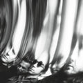 Ty Segall - Chrome (CD) (US Import)
