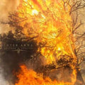 Inter Arma - Sulphur English (Gold Nugget Vinyl/2LP) (Vinyl) (US Import)