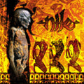 Nile - Amongst The Catacombs (CD)