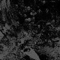 Primitive Man & Unearthly Trance - Split (Vinyl) (US Import)