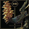 16 - Dream Squasher (Vinyl) (US Import)