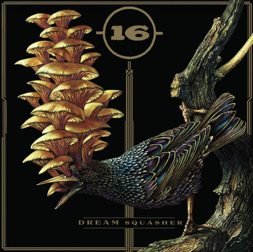 16 - Dream Squasher (Vinyl) (US Import)