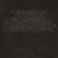 Boris With Merzbow - 4092001 (Silver Vinyl) (Vinyl) (US Import)