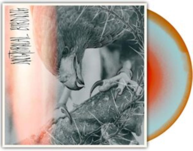 Author & Punisher - Nocturnal Birding (Custom Merge Vinyl) (Vinyl) (US Import)
