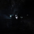 Psyclon Nine - And Then Oblivion (Vinyl) (US Import)