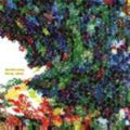 Doldrums - Feng Shui (CD)