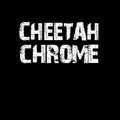 Cheetah Chrome - Solo (Vinyl) (US Import)