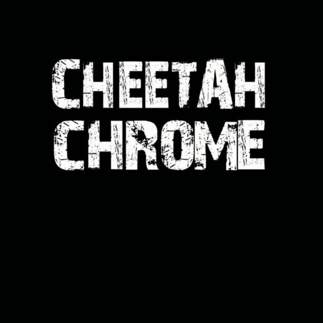Cheetah Chrome - Solo (Vinyl) (US Import)