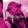 Hijss - Hijss (CD) (US Import)