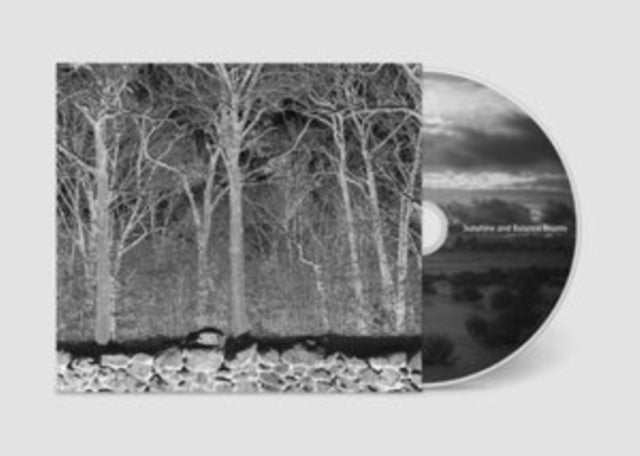 Pile - Sunshine & Balance Beams (CD)