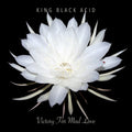 King Black Acid - Victory For Mad Love (Vinyl) (US Import)