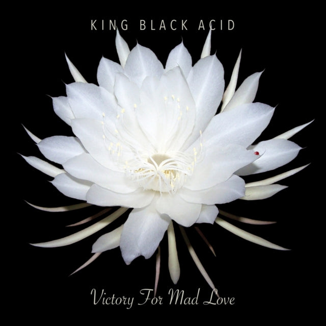 King Black Acid - Victory For Mad Love (Vinyl) (US Import)