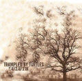 Trampled By Turtles - Duluth (Vinyl) (US Import)