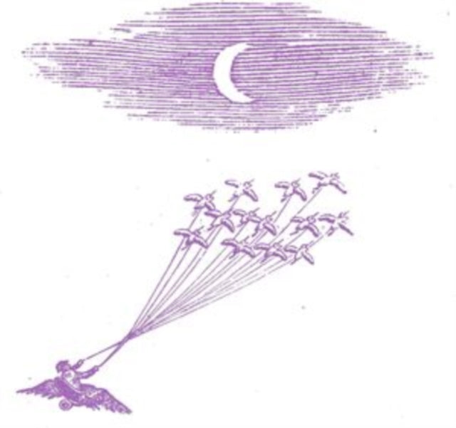 Feeling Figures - Migration Magic (Vinyl) (US Import)